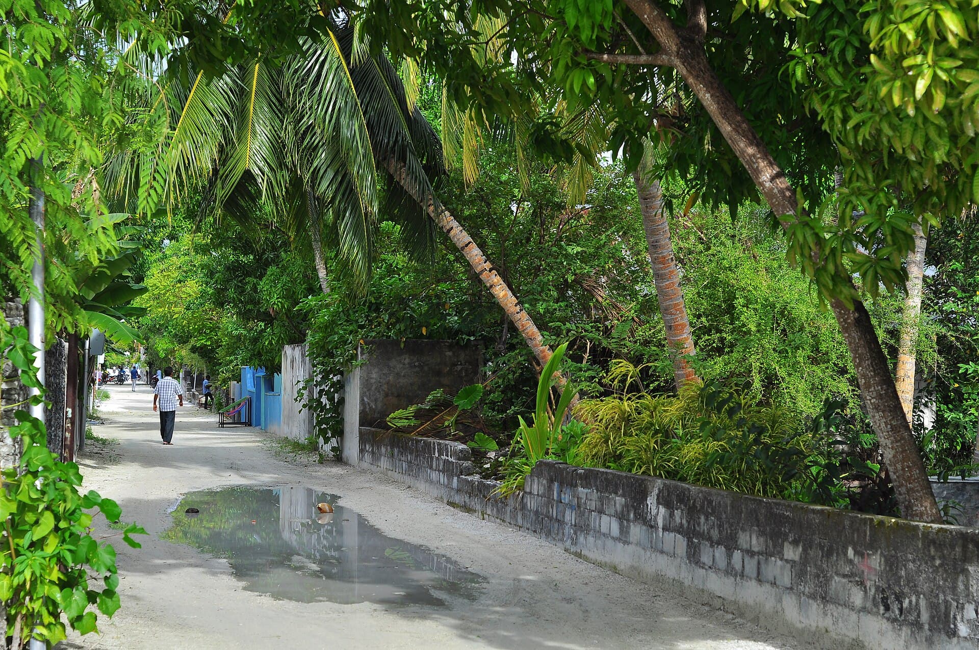 Hithadhoo Road side, The Island Nation - panoramio